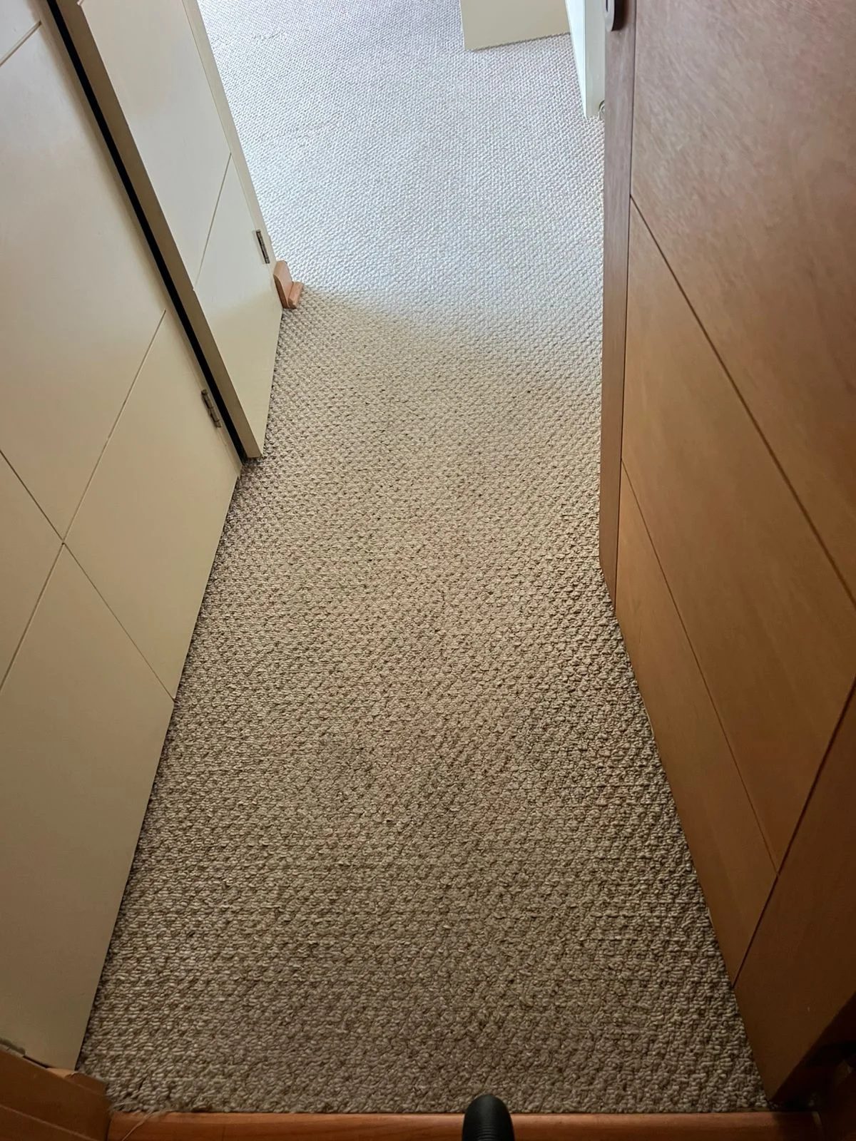 Alfombra muro a muro limpia y renovada